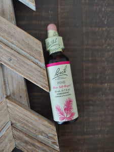 Pine Flower Essence ll Bach Flower Remedies - SimplyGinger