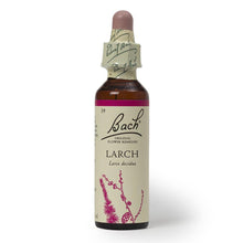 Larch Flower Essence ll Bach Flower Remedies - SimplyGinger